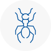 Ant Removals In Trimdon Station