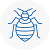 Bed Bug Extermination In Trimdon Station