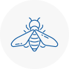 Bee Nest Removal Trimdon Station