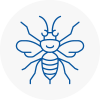 Trimdon Station Hornet Nest Removals