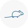 Mice Exterminators In Trimdon Station
