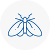 Moth Control Specialists In Trimdon Station