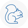 Trimdon Station Rodent Removals