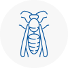Trimdon Station Wasp Nest Removal